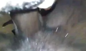 ratu kayu hitam fuck ...